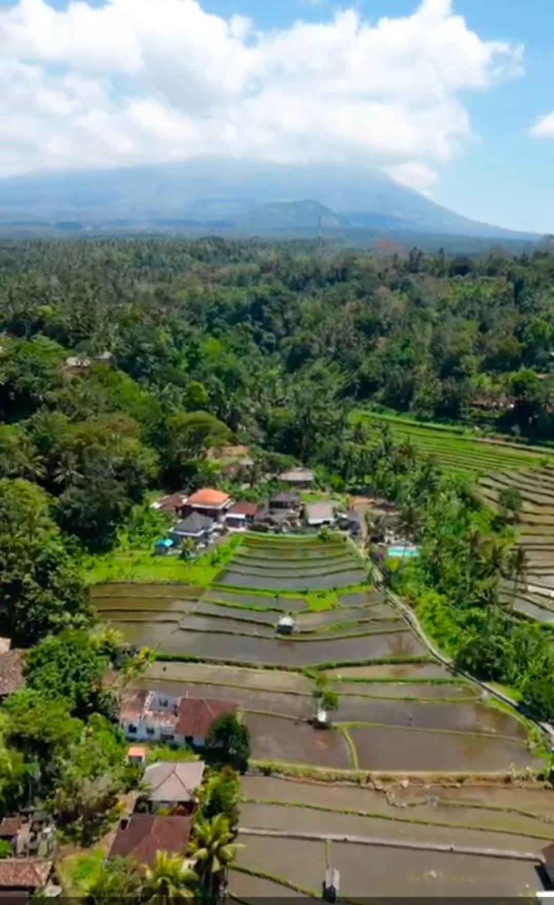 Dau Homestay Karangasem Kültér fotó