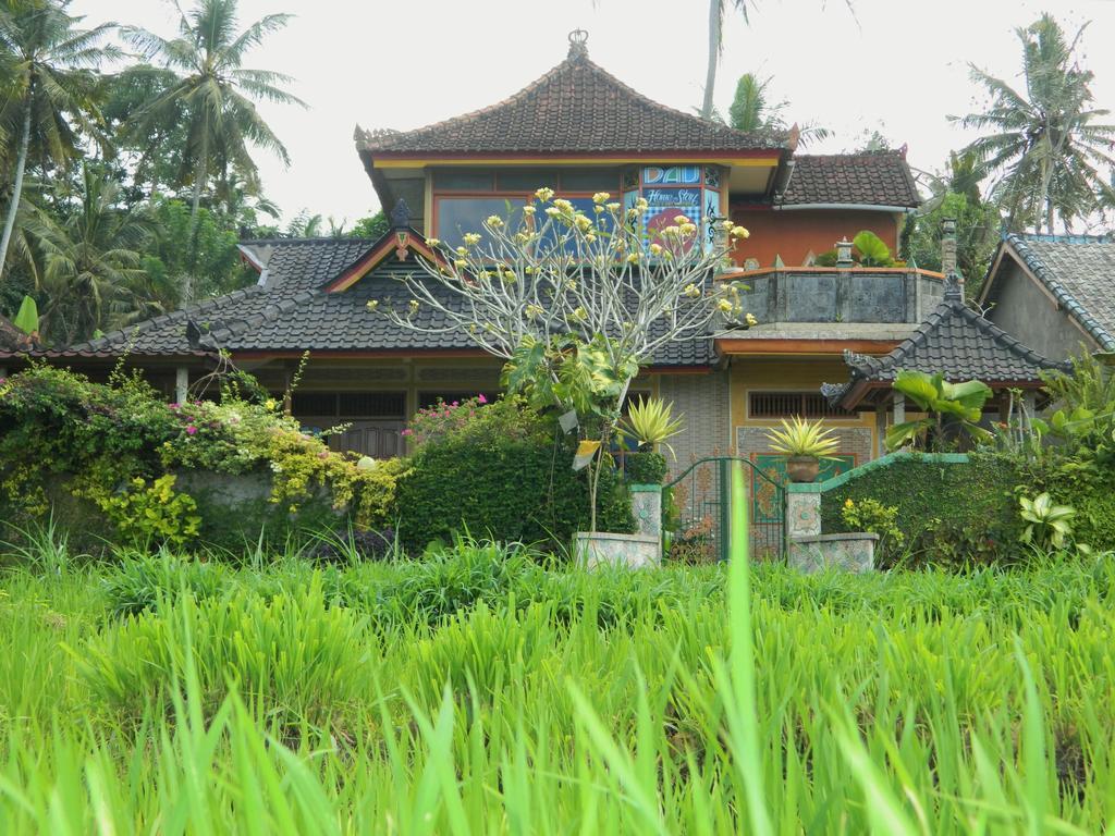 Dau Homestay Karangasem Kültér fotó