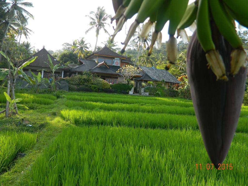 Dau Homestay Karangasem Kültér fotó