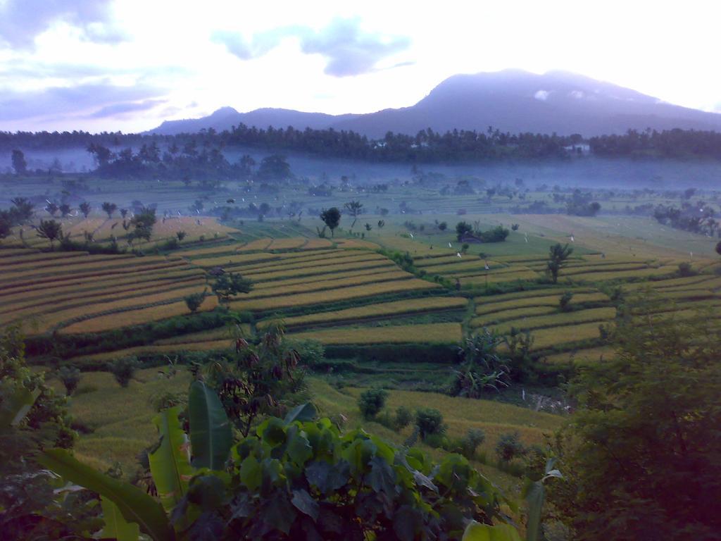 Dau Homestay Karangasem Kültér fotó